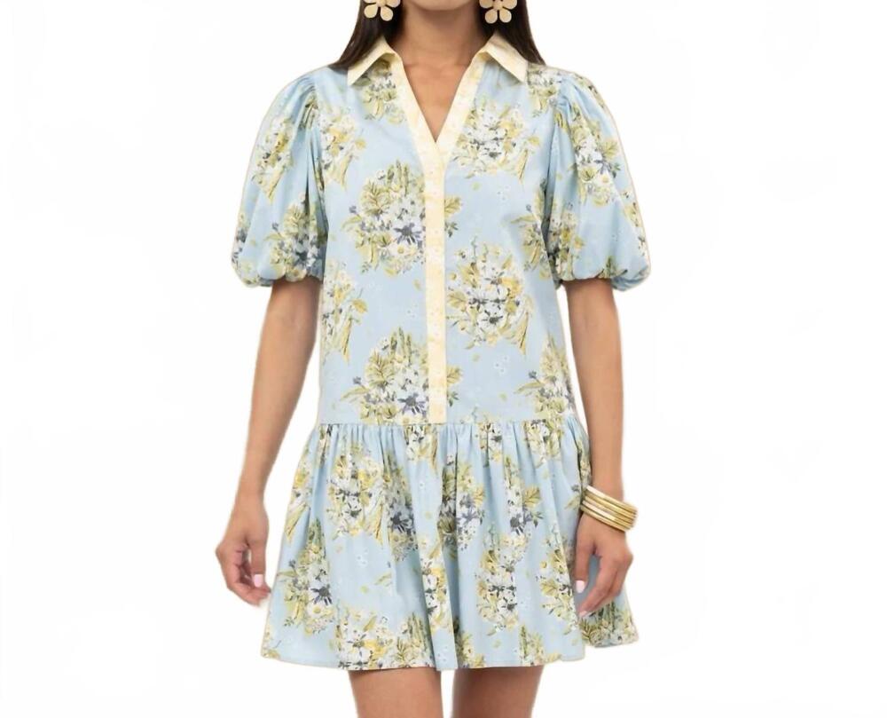 NEW UNCLE FRANK the meadow song collared shift dress in light blue